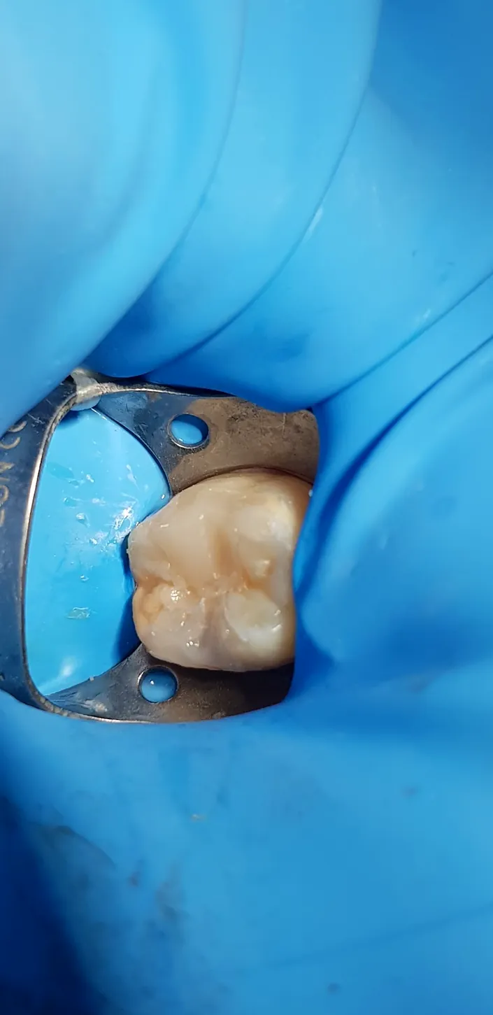 Niradent Centro Odontoiatrico | Dentista a Bologna